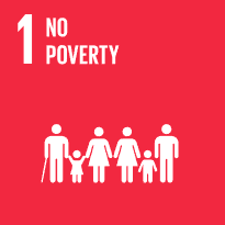 No poverty