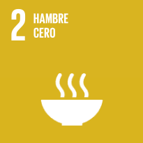 Hambre cero