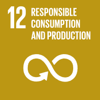 Responsible consumption and production