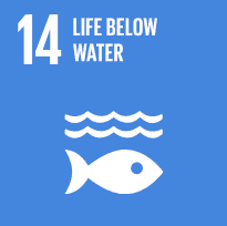 Life below water
