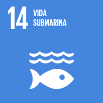 Vida submarina